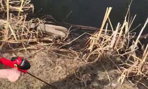 Kid Catches Fish on His First Cast