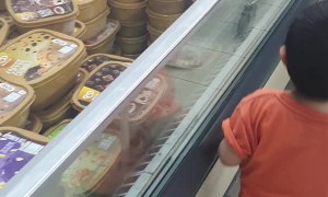 Boy Loves His Trips To The Grocery Store