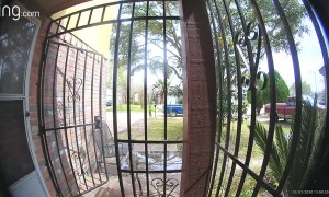 Balaclava Clad Package Bandit