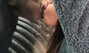 Amazing Moment at the Chimp Exhibit