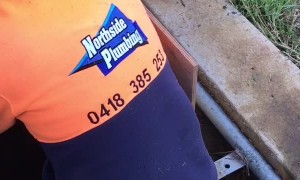 Australian Man Rescues Ducklings Trapped in a Storm Drain