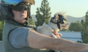 Biker and His Little Sidekick