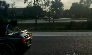 Dog and Dude Ride in Style