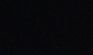 Firework Mishap on 4th of July