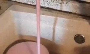 Water taps pour wine in Italian village after fault at local winery