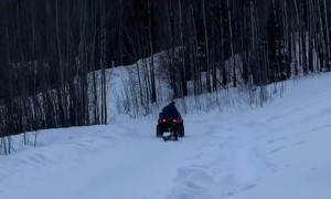 Sliding Through Winter With Friends