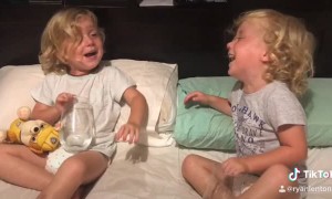 Young Twins Argue Over Who Spilled the Water