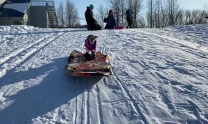 Chihuahua Surfs Through the Snow on Boogie Board