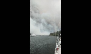 Smoke From Australian Wildfires Blackens the Noon-Day Sky