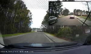 Duck Makes Impatient Driver Wait