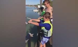 Future Olympic Divers