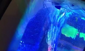 Pimped Uber Impresses Passenger