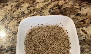 Teaching Kids How Soap Helps Stop the Spread of Germs