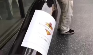 Man Knows How to Make New Friends on Hollywood Walk of Stars