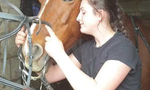 Horse Doesn't Want to Wear Bridle