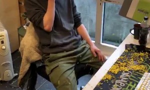 Workplace Disrupted by Thousands of BB's