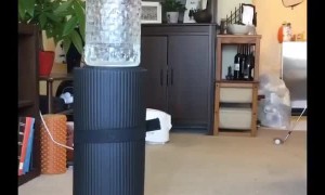 Quarantine Trick Shots to Pass the Time