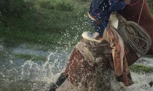 Horse Slip Leads to Rider Slip