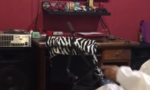 Cool Trick During Quarantine