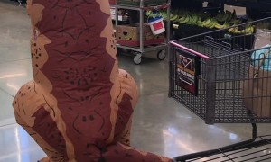 Social Distancing, Dinosaur Style