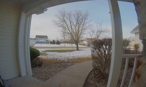 Dog Rings Doorbell with His Nose