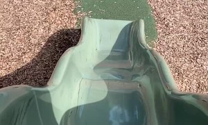 Corgi Almost Makes it to the Top of the Slide