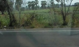 Man Kicks Car Window While Driving