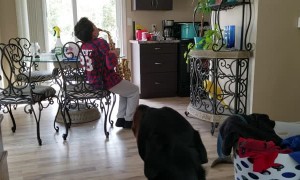 Dog Howls for the Saxaphone