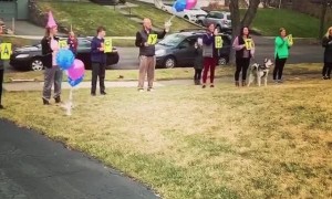 Family sings 'happy birthday' to 95-year-old grandma from a distance
