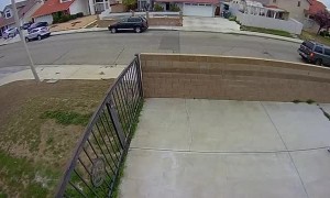 Total Stranger Takes a Tumble From Fence