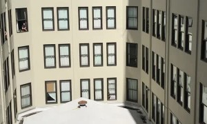 Woman Orchestrates a Big Birthday Surprise for Her Fiance