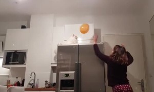 Cat plays balloon volleyball with her owner