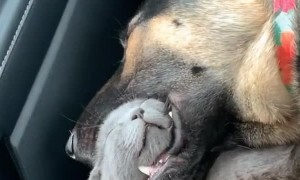 When you're hungry but also very sleepy