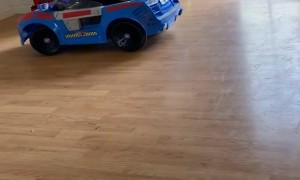 Kiddo Driving Car While Laying Down