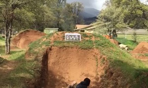 Cat Cuts BMX Biker Off Causing Crash