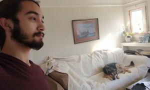 Tail Wagging Controlled by a Look