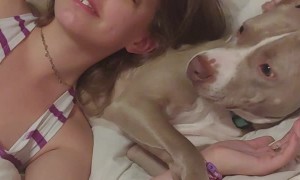 Doggo Doesn't Want to Catch Coronavirus