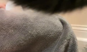 Flushing a Dryer Doesn't Go as Planned