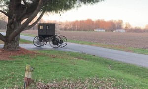 Self Powered Amish Buggy