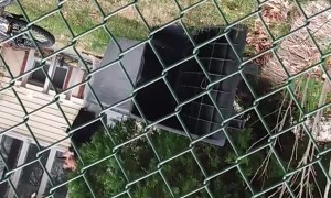 Community Surprises 11-Year-Old on Birthday