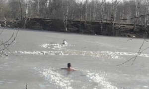 Dog Doesn't Wait for Saving from Frozen River