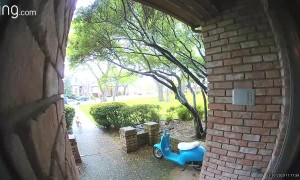 Delivery Driver Doesn't Appreciate Friendly Dog