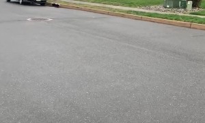 Community Throws Birthday Parade for 4-Year-Old due to Quarantine