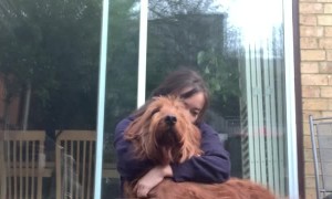 Pup Interrupts Yoga Practice