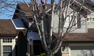 Social Distancing At Its Finest