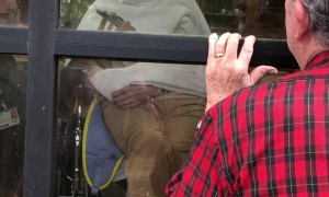 Man Sings a Special Song to His Quarantined Wife