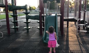 Puppy Follows Best Friend Down Slide