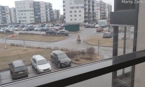 T-Rex Takes out the Trash During Quarantine