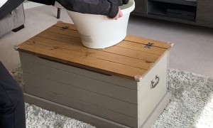 Baby Bobsled Champion