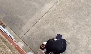 A Creative Way to Retrieve Pizza